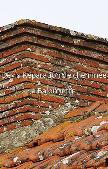 Devis Réparation de cheminée a Bajonnette