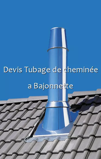 Devis Tubage de cheminée a Bajonnette