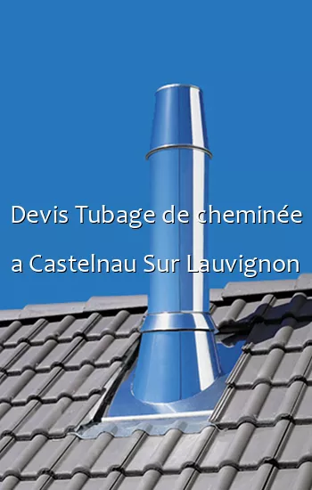 Devis Tubage de cheminée a Castelnau Sur Lauvignon