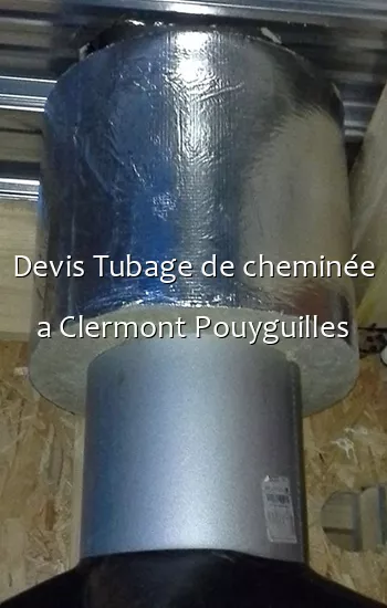 Devis Tubage de cheminée a Clermont Pouyguilles