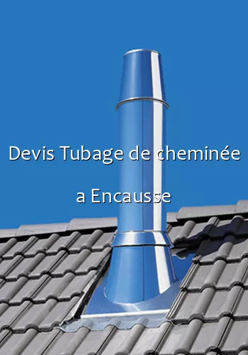 Devis Tubage de cheminée a Encausse