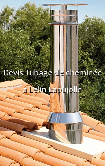 Devis Tubage de cheminée a Lelin Lapujolle