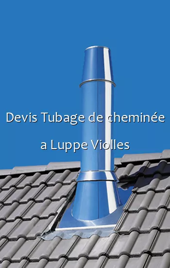 Devis Tubage de cheminée a Luppe Violles