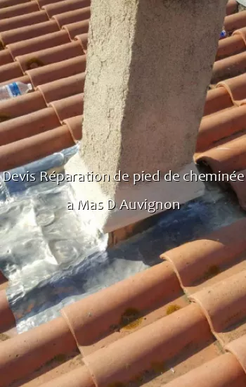 Devis Réparation de pied de cheminée a Mas D Auvignon