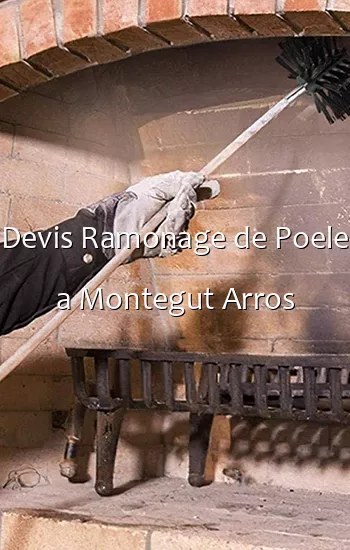 Devis Ramonage de Poele a Montegut Arros