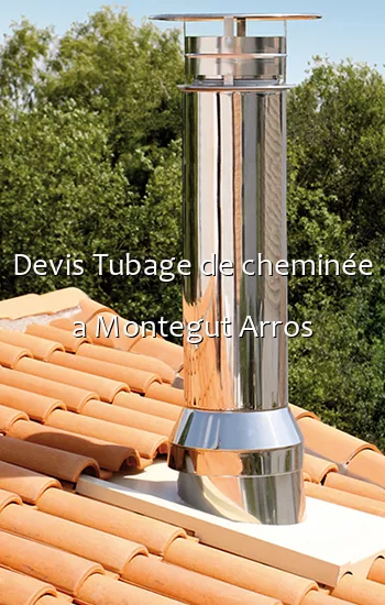 Devis Tubage de cheminée a Montegut Arros